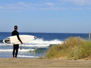 Vivez un moment aquatique inoubliable